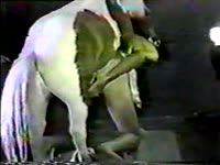 Lovely babe got banged hard by big horse dick